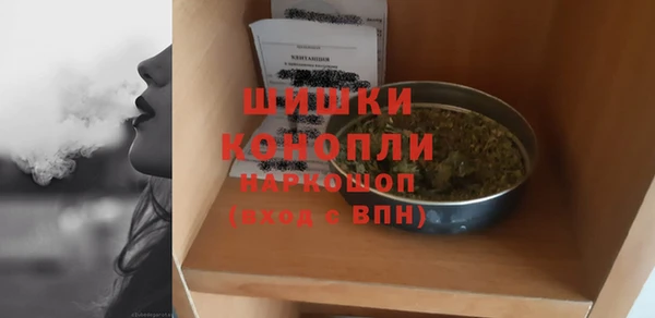 соль ск Бородино