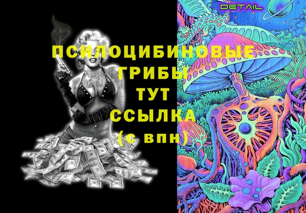 соль ск Бородино