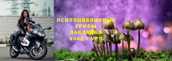 ECSTASY Бронницы