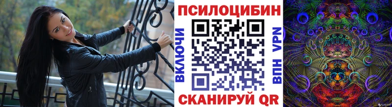 Псилоцибиновые грибы мицелий  Кимовск 